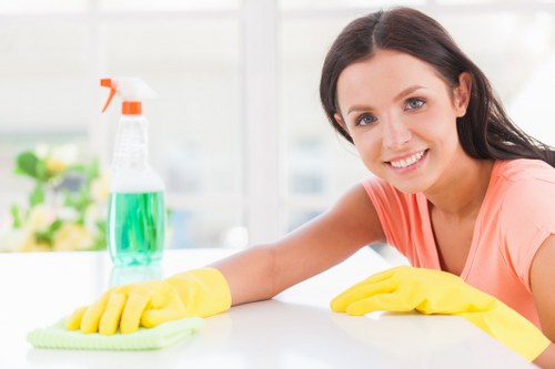 Professional sofa cleaning service in Catford for local homes