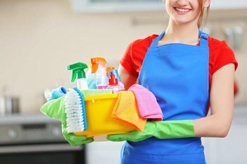 Professional mattress cleaning in a Catford home bedroom