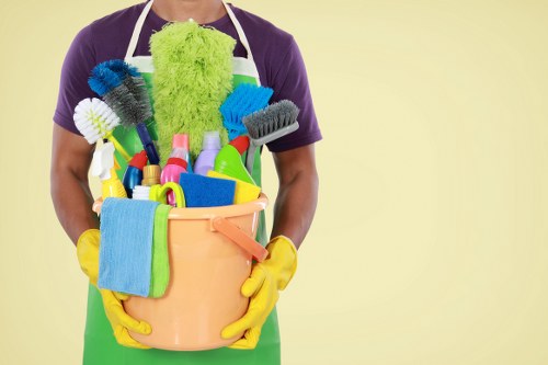 Professional rug cleaning service for Catford homes