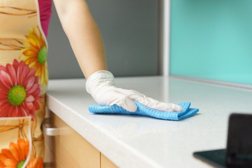 Local domestic cleaning for a Catford home exterior and entryway