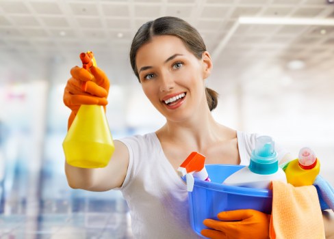 Mattress cleaning equipment used in a Catford bedroom