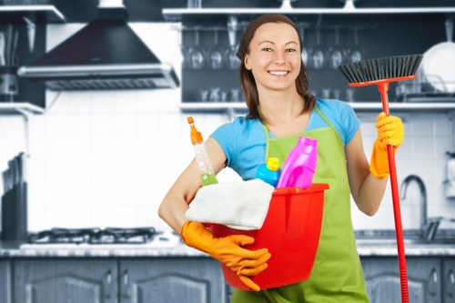 Catford pet stain and odour removal for carpets and soft furnishings