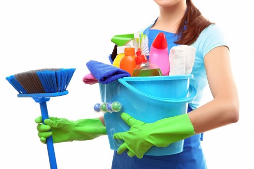Deep cleaning a living room sofa in a Catford home