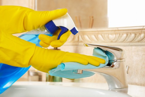 Local cleaner preparing a Catford home for a scheduled visit
