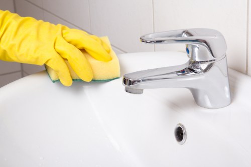 Detailed cleaning of a bathroom in a Catford property before moving in
