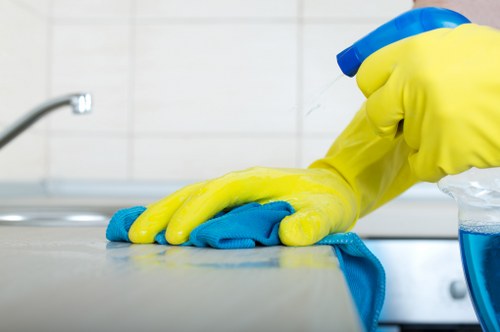 Professional window cleaning service for properties in Catford SE6