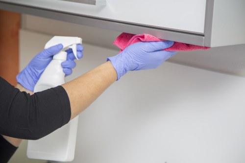 Detailed bathroom cleaning during a move-out service in Catford