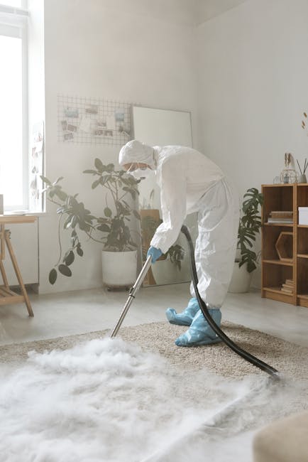 A professional cleaner dressed in full protective white suit, gloves, a face mask, and shoe covers, is using a vacuum cleaner with a long hose attachment to deep clean a beige carpet in a bright, modern living room. The room has white walls, natural light streaming in through a window with a wooden frame, and various indoor plants in white pots, adding a touch of greenery. There is a wooden shelving unit on the right side containing decorative items, and a whiteboard with notes or sketches on the wall. The surface appears freshly cleaned, with a clear focus on hygiene and maintenance, demonstrating a thorough cleaning process typical of domestic surface cleaning and sanitisation services provided by Carpet Cleaning Catford.